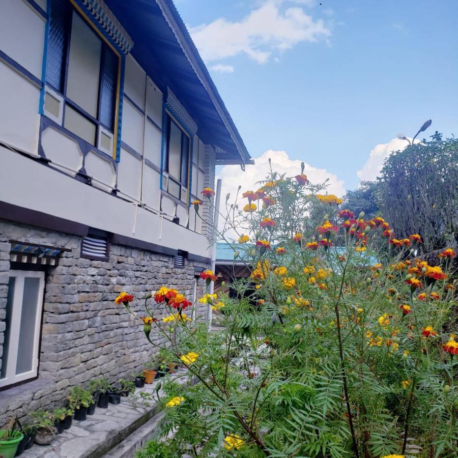 The Nettle And Fern Farmstay Пеллинг Экстерьер фото
